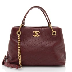 Chanel Chevron Calfskin Python Chic Small Shopping Tote