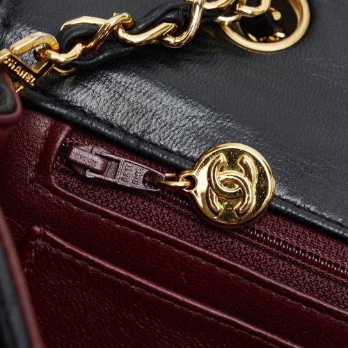 Chanel Diana Flap Crossbody Bag