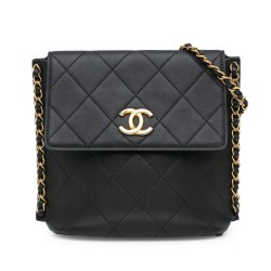 Chanel Small Quilted Calfskin Chain Hobo Flap