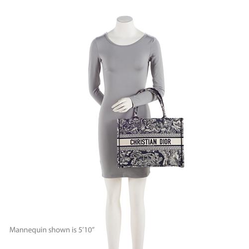 Dior Toile De Jouy Small Book Tote