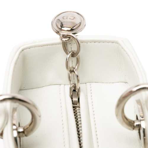 Dior Medium Calfskin Dragonfly Embellished Lady Dior