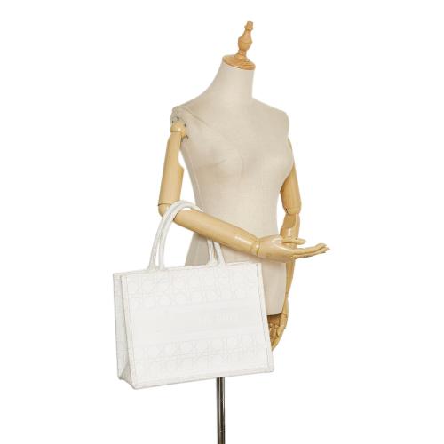 Dior Medium Cannage Book Tote