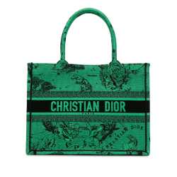 Dior Medium Embroidered Canvas Book Tote