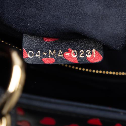 Dior Medium I Love Paris Lady Dior Satchel