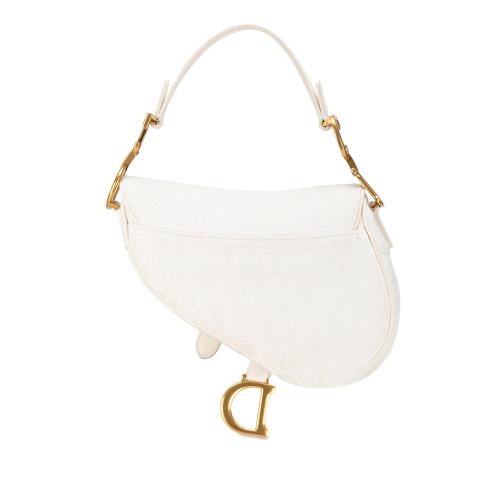 Dior Mini Oblique Saddle