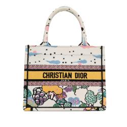 Dior Small Ciel de Reve Book Tote