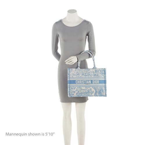 Dior Toile De Jouy Small Book Tote