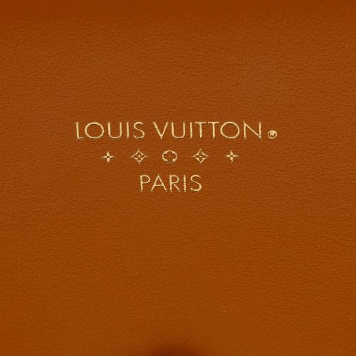 Louis Vuitton Calfskin LV Pont 9 Shoulder Bag