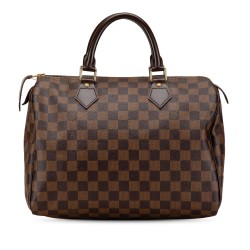 Louis Vuitton Damier Ebene Speedy 30