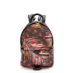 Louis Vuitton Limited Edition Monogram Canvas Jungle Dots Palm Springs PM Backpack