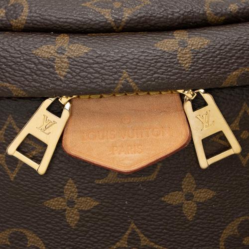 Louis Vuitton Monogram Canvas Bumbag