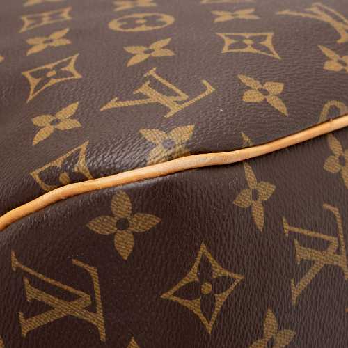 Louis Vuitton Monogram Canvas Delightful MM Shoulder Bag