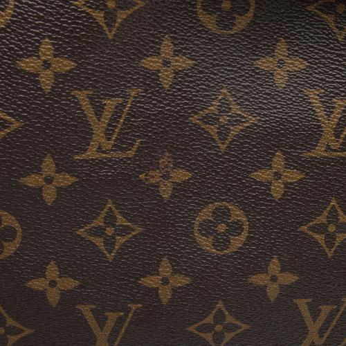 Louis Vuitton Monogram Canvas Delightful PM Shoulder Bag - FINAL SALE