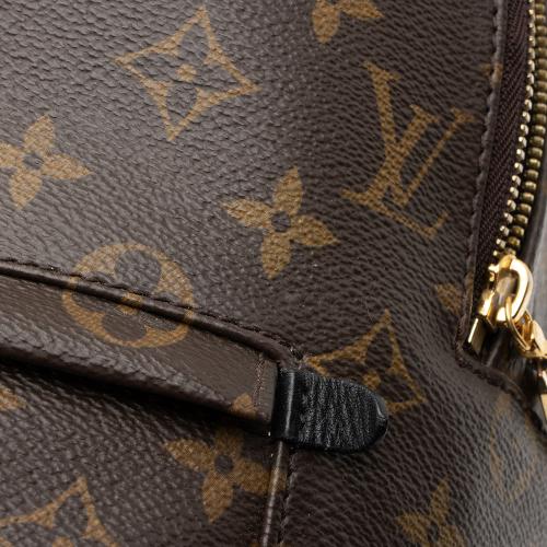 Louis Vuitton Monogram Canvas Palm Springs MM Backpack