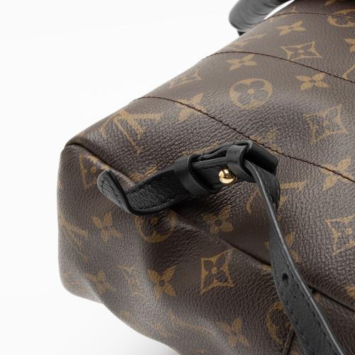 Louis Vuitton Monogram Canvas Palm Springs MM Backpack