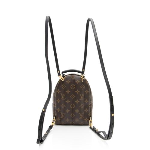 Louis Vuitton Monogram Canvas Palm Springs Mini Backpack