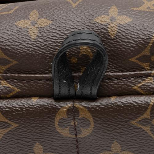 Louis Vuitton Monogram Canvas Palm Springs Mini Backpack