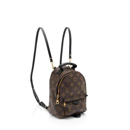 Louis Vuitton Monogram Canvas Palm Springs Mini Backpack