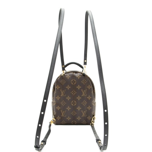 Louis Vuitton Monogram Canvas Palm Springs Mini Backpack