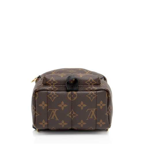 Louis Vuitton Monogram Canvas Palm Springs Mini Backpack