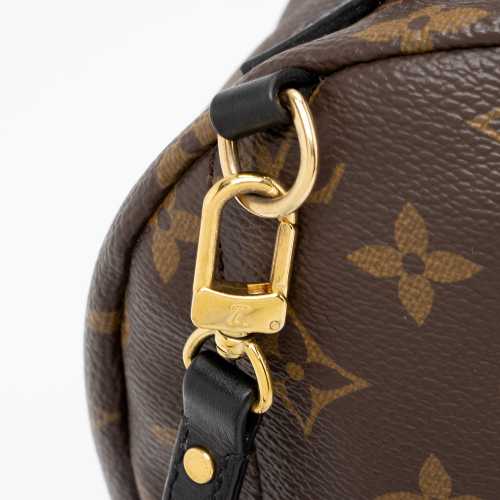 Louis Vuitton Monogram Canvas Palm Springs Mini Backpack