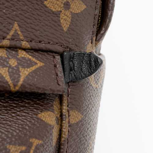 Louis Vuitton Monogram Canvas Palm Springs Mini Backpack