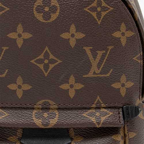 Louis Vuitton Monogram Canvas Palm Springs Mini Backpack