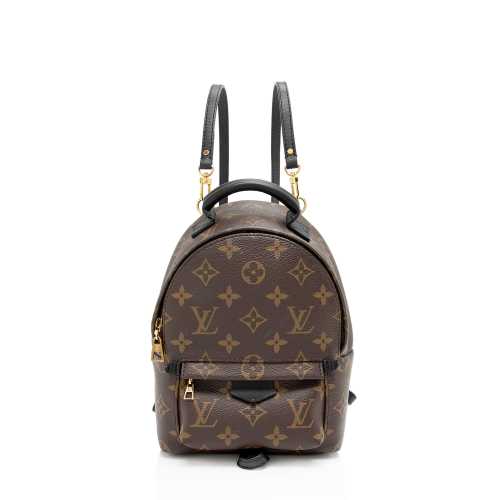 Louis Vuitton Monogram Canvas Palm Springs Mini Backpack