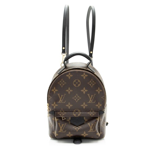 Louis Vuitton Monogram Canvas Palm Springs Mini Backpack