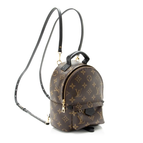 Louis Vuitton Monogram Canvas Palm Springs Mini Backpack