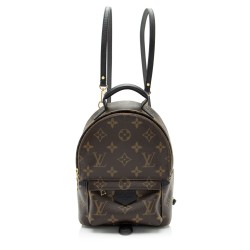 Louis Vuitton Monogram Canvas Palm Springs Mini Backpack