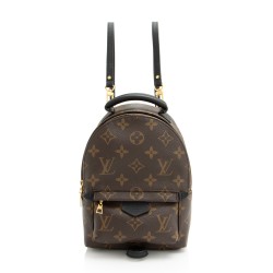 Louis Vuitton Monogram Canvas Palm Springs Mini Backpack