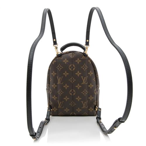 Louis Vuitton Monogram Canvas Palm Springs Mini Backpack