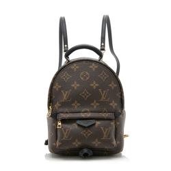 Louis Vuitton Monogram Canvas Palm Springs Mini Backpack