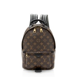 Louis Vuitton Monogram Canvas Palm Springs PM Backpack