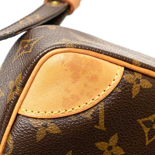 Louis Vuitton Monogram Danube