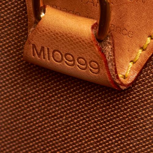 Louis Vuitton Monogram Ellipse PM