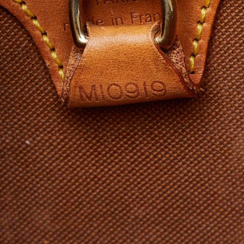 Louis Vuitton Monogram Ellipse PM