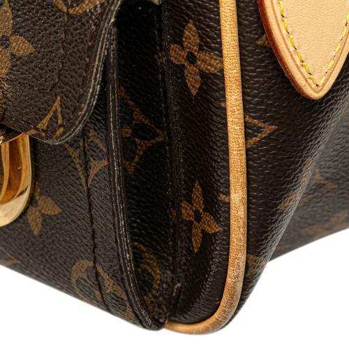 Louis Vuitton Monogram Hudson PM