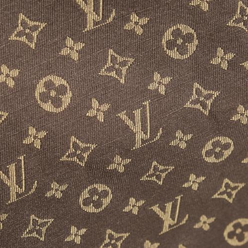 Louis Vuitton Monogram Mini Lin Speedy 30