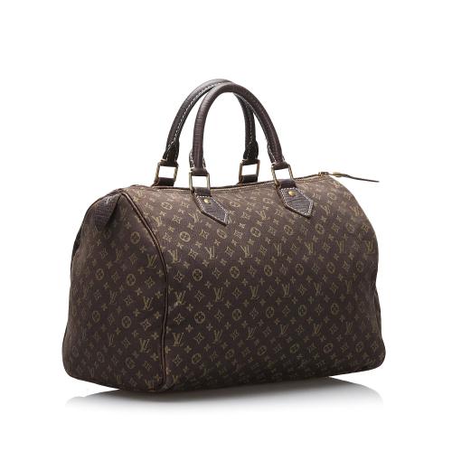 Louis Vuitton Monogram Mini Lin Speedy 30