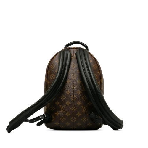 Louis Vuitton Monogram Palm Springs PM