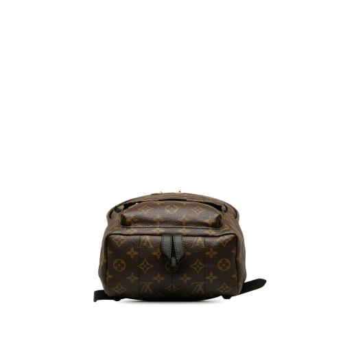 Louis Vuitton Monogram Palm Springs PM