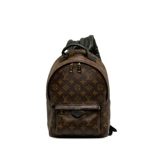 Louis Vuitton Monogram Palm Springs PM