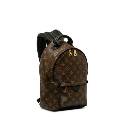 Louis Vuitton Monogram Palm Springs PM