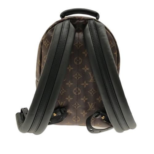 Louis Vuitton Monogram Palm Springs PM