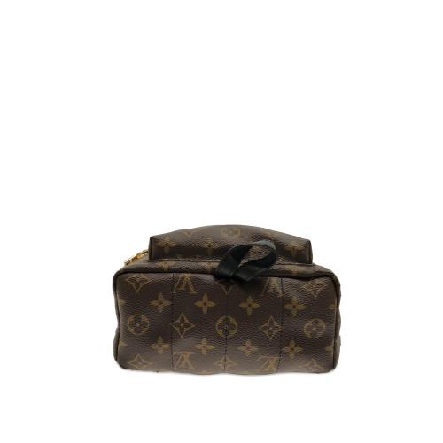 Louis Vuitton Monogram Palm Springs PM