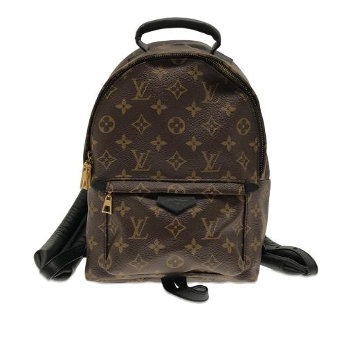 Louis Vuitton Monogram Palm Springs PM