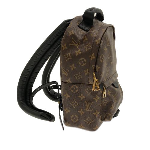 Louis Vuitton Monogram Palm Springs PM