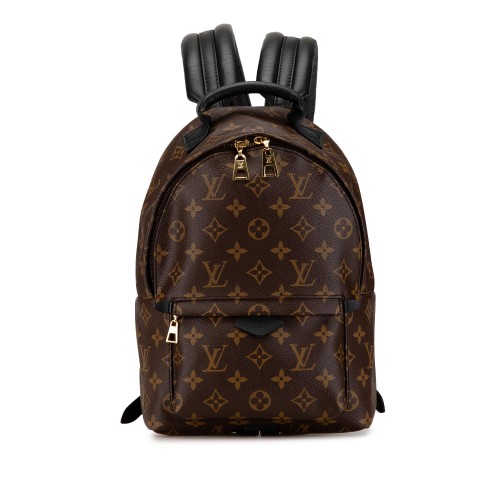 Louis Vuitton Monogram Palm Springs PM